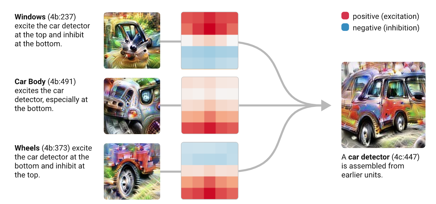 可解释性研究示意图：视觉神经元的作用（来自https://distill.pub/2020/circuits/）